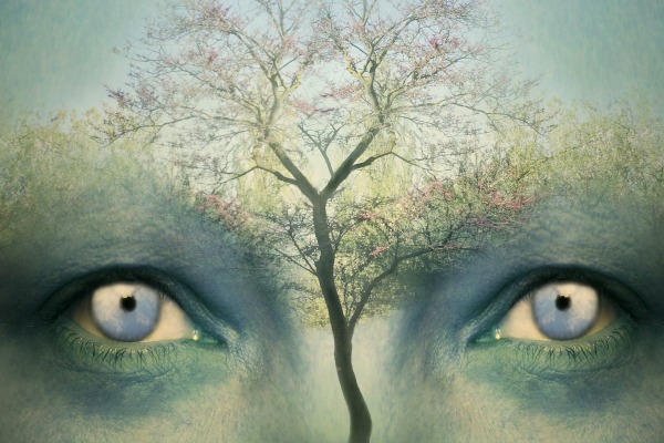 Beautiful artistic fantasy background representing a two human eyes and a tree