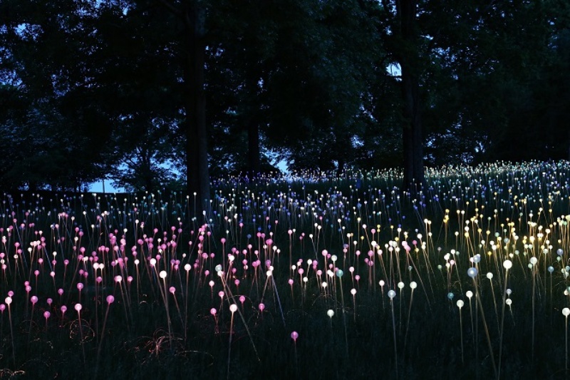 Discovery-Green-art-installation-Field-of-Light-by-Bruce-Munro_130500